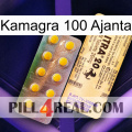 Kamagra 100 Ajanta new06